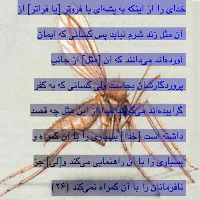 توصیفی از سوره بقره آیه 26